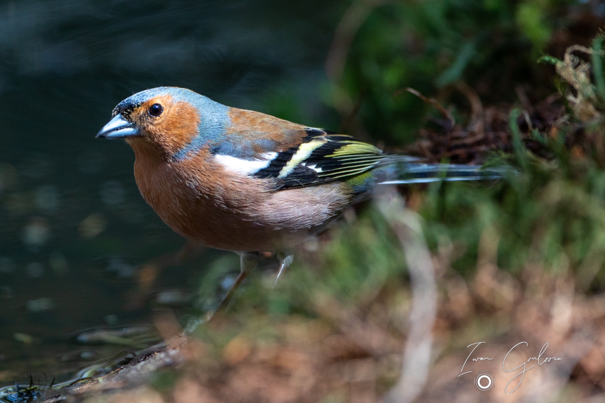 27 april 2022 143045  5D47875